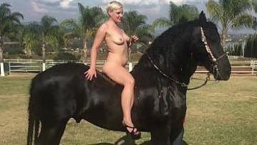362px x 204px - Xvedio horse girl short sex videos xvideos porn